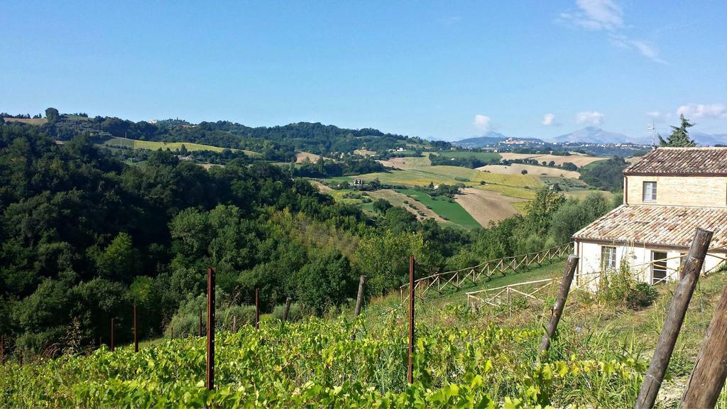 Biancopecora Villa Sant'Elpidio Morico ภายนอก รูปภาพ